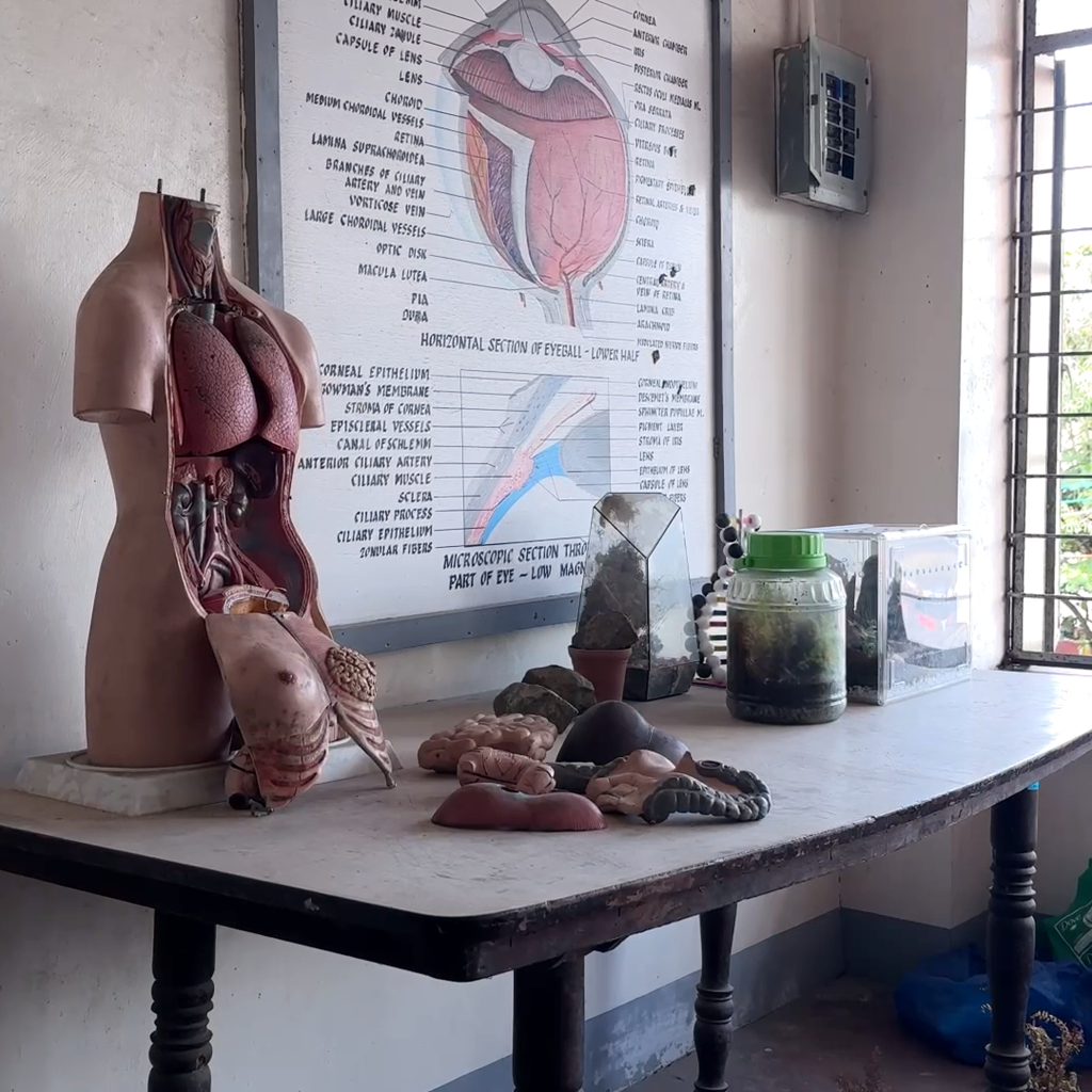 Anatomy models and medical teaching resources at Lyceum Northwestern University